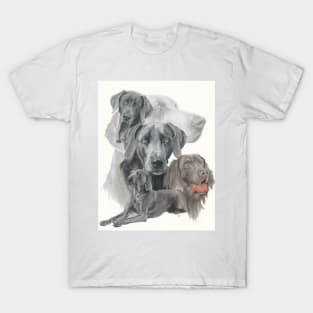 Weimaraner T-Shirt